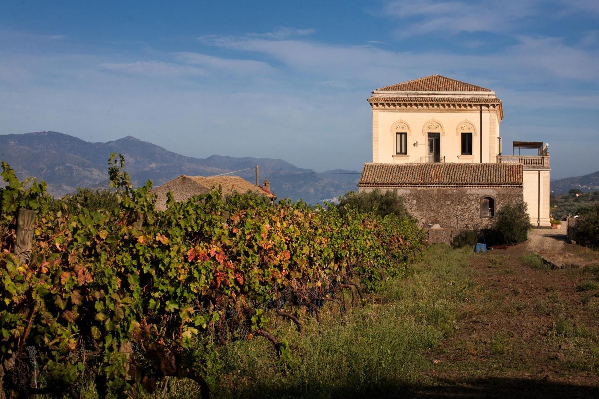 Pensjonat Feudo Vagliasindi -Wine Experience- Randazzo Zewnętrze zdjęcie