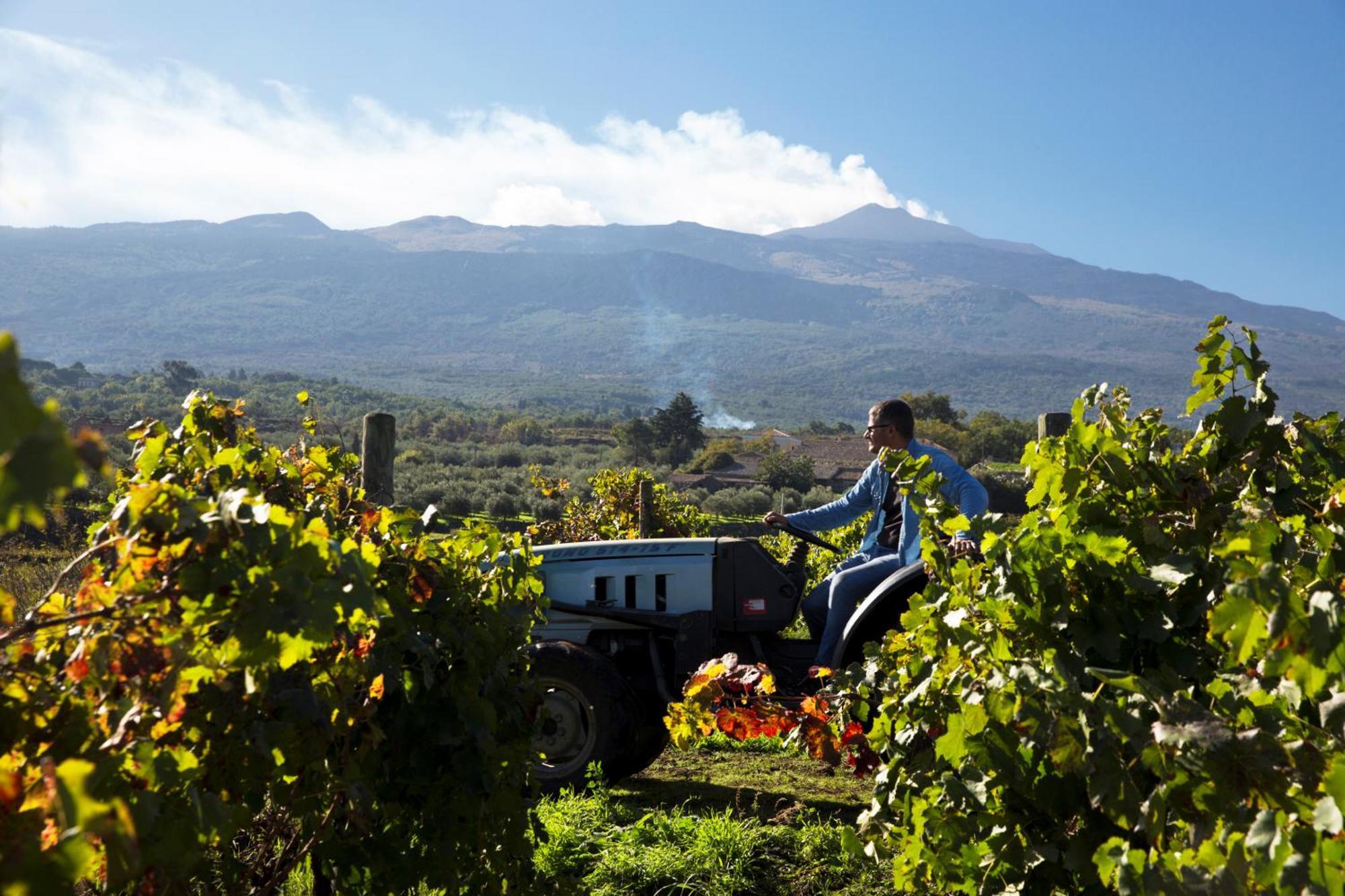 Pensjonat Feudo Vagliasindi -Wine Experience- Randazzo Zewnętrze zdjęcie