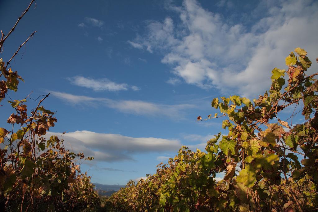 Pensjonat Feudo Vagliasindi -Wine Experience- Randazzo Zewnętrze zdjęcie