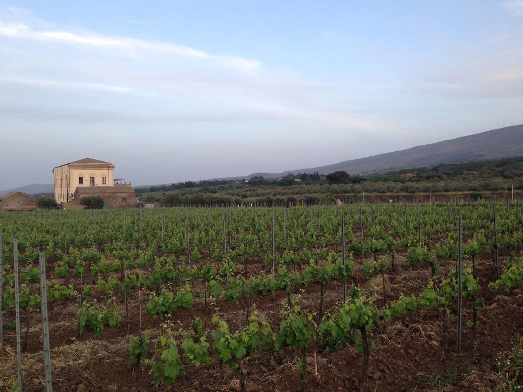 Pensjonat Feudo Vagliasindi -Wine Experience- Randazzo Zewnętrze zdjęcie