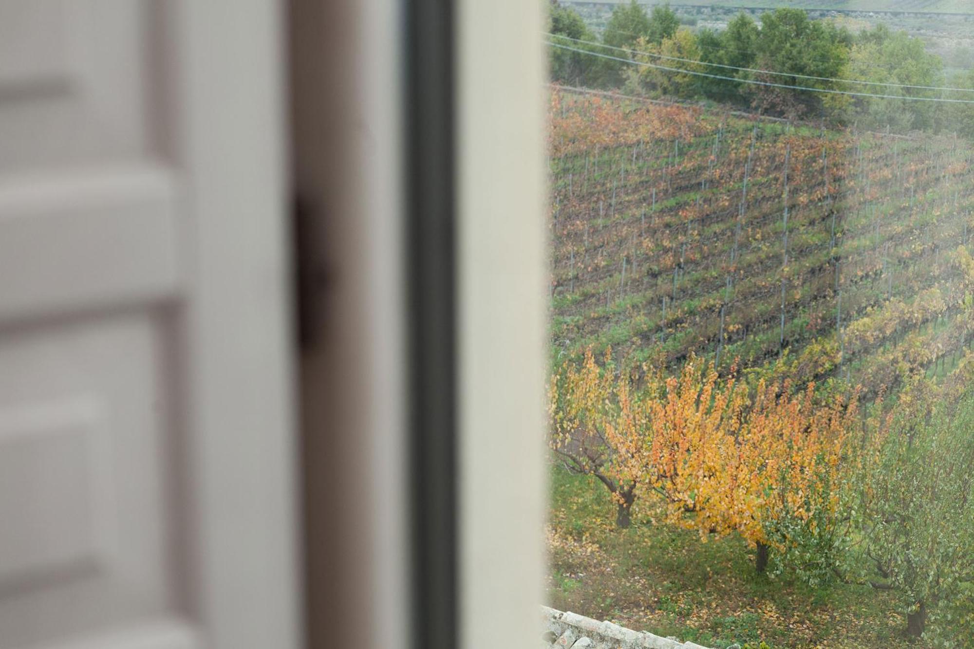 Pensjonat Feudo Vagliasindi -Wine Experience- Randazzo Zewnętrze zdjęcie
